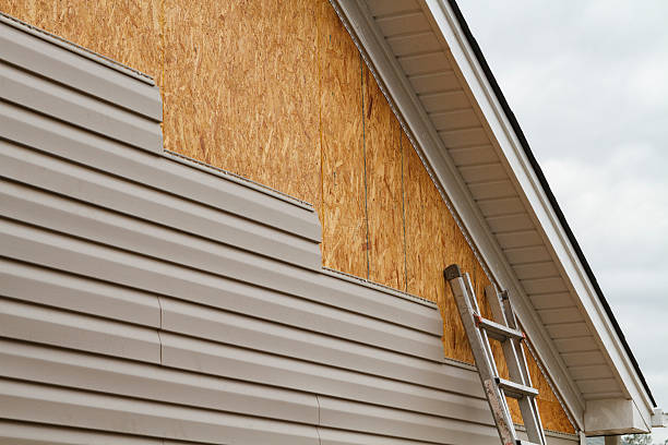 Professional Wood Siding technician working in Mount Vernon, IN